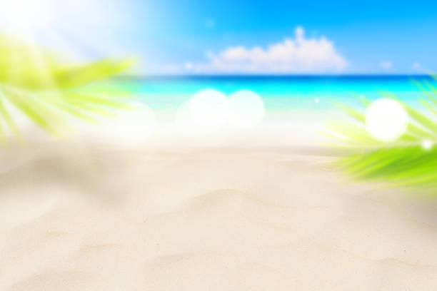 istock Blur beautiful nature green palm leaf on tropical beach with bokeh sun light wave abstract background. Copy space of summer vacation and business travel concept. 1325918584