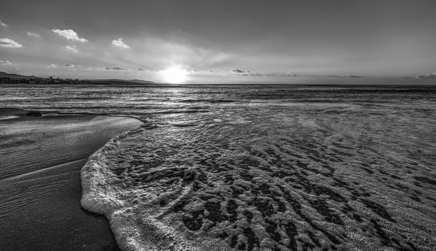 istock Sea foam in Alghero shore at sunset 1325920247