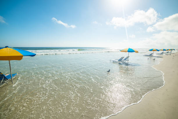 istock Beach chairs and parasols on Daytona Beach foreshore 1325920293