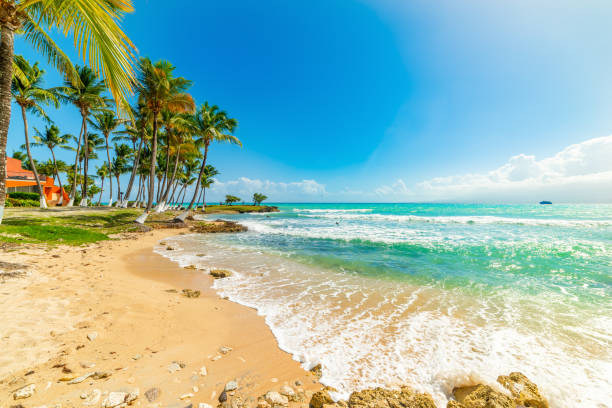 istock Golden shore and turquoise water in Bas du Fort shore 1325921083