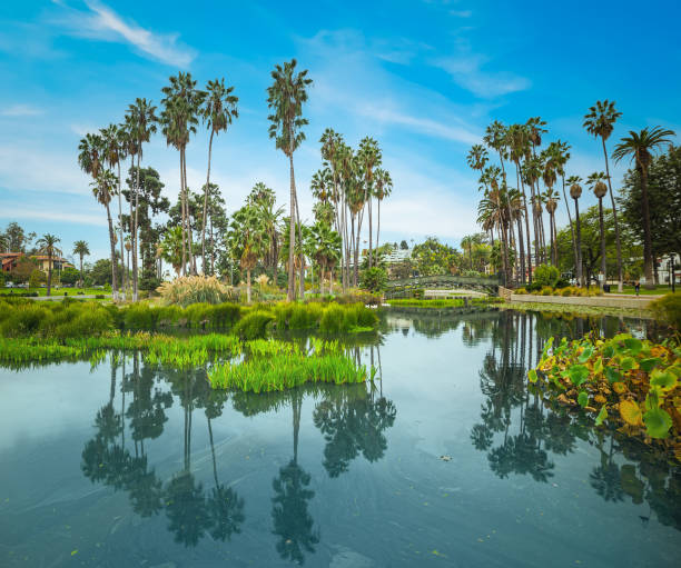 istock Sunny day in Echo park lake 1325921298