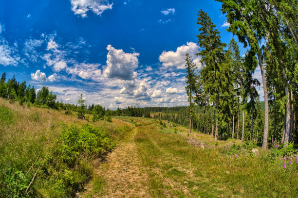 hiking in Neuhaus am Rennweg