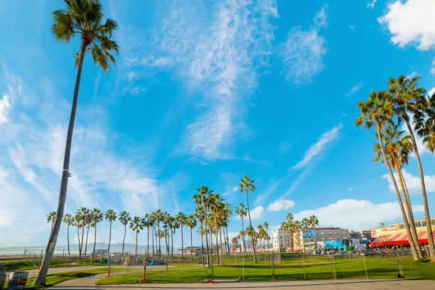 Blue sky with clouds over world famous Venice Beach in Los Angeles. Southern California, USAPalm trees in Venice beach, California