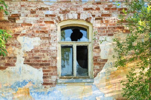 istock Wall of an old brick house with a window. The multicolored plaster has collapsed, the windows are broken, and bushes are growing around. Background. Texture. 1325921966