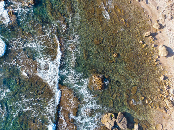 istock Aerial view of small waves by Alghero shore 1325922646