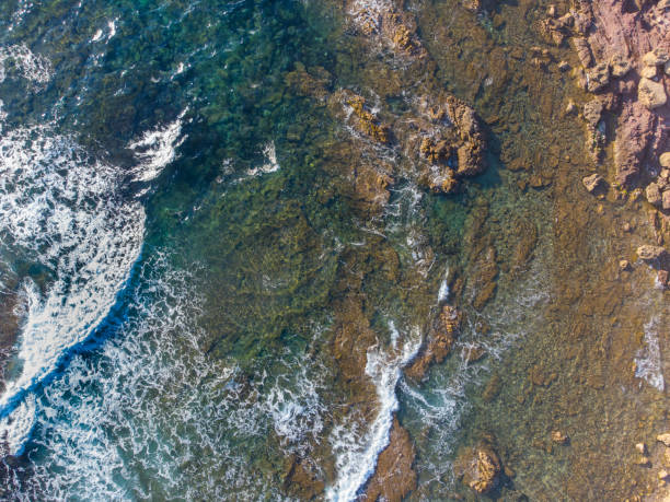 istock Aerial view of waves by the shore 1325923044