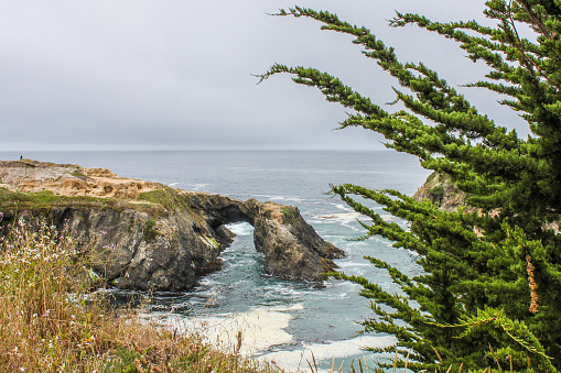 Land bridge over arch that ocean runs through at headlands near Mendicino California on foggy day with evergreen tree framing one side.