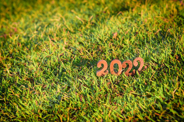 istock Wooden number 2022 with sunlight on green grass background 1325924402