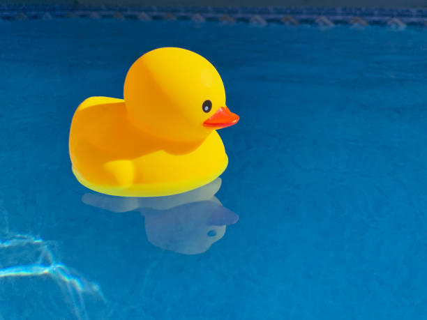 istock Rubber duck in sunny swimming pool 1325924572