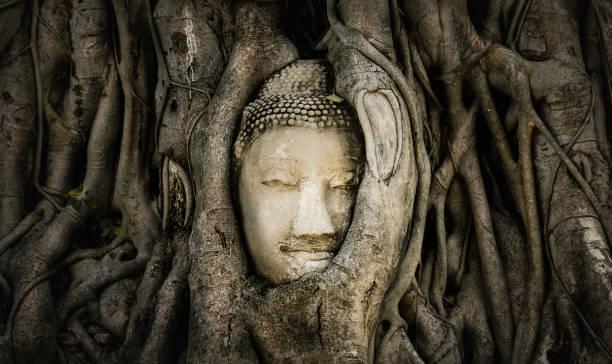 istock The famous Buddha head in ancient tree root in Ayutthaya Thailamd. 1325926103