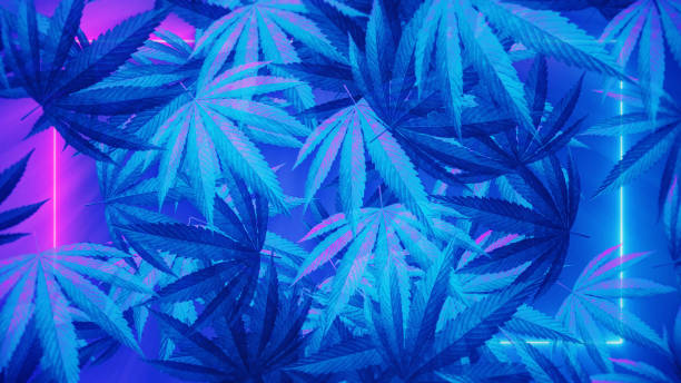 marijuana neon background. stock photo