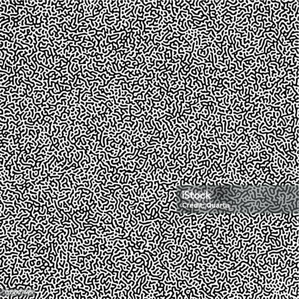 Multiscale Turing Pattern Cyclic Symmetric Multiscale Turing Pattern Monochrome Texture Stock ...