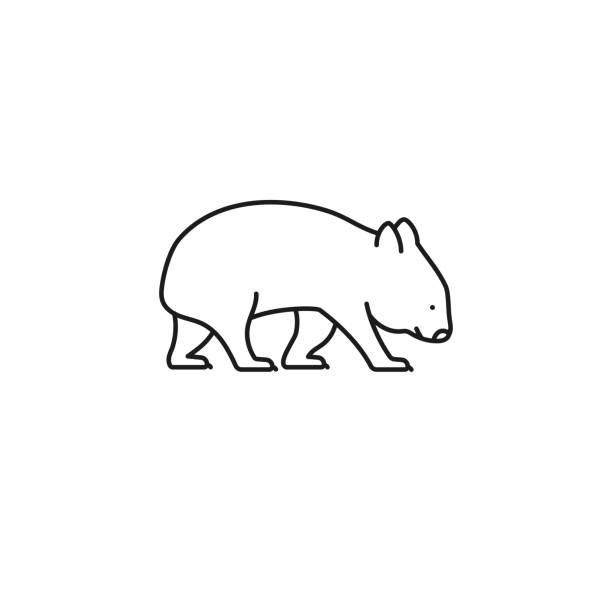 wombat vektorliniensymbol - wombat stock-grafiken, -clipart, -cartoons und -symbole