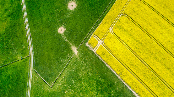 Canola fields and agricultural area in springtime - aerial view
