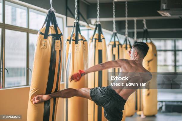 Asian Malay Muay Thai Boxing Boxer Kick Punching Bags In Gym Health Club Stock Photo - Download Image Now