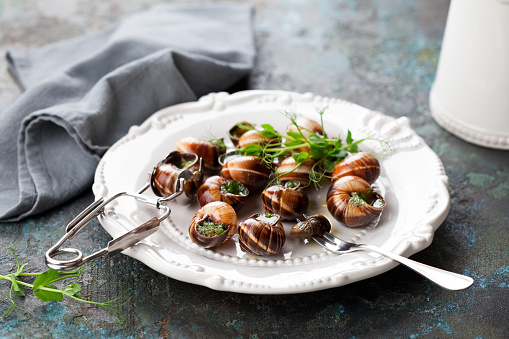 Bourgogne Escargot Snails with garlic herbs butter on a white plate, selective focus