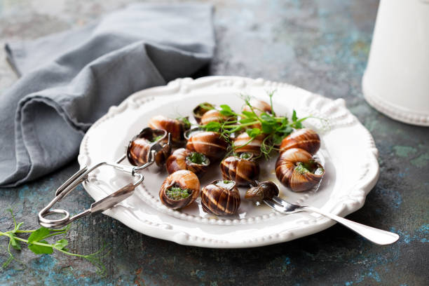 Bourgogne Escargot Snails with garlic herbs butter Bourgogne Escargot Snails with garlic herbs butter on a white plate, selective focus snail stock pictures, royalty-free photos & images