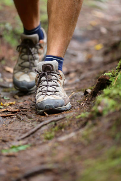 istock Hiker - hiking shoes closeup from hike walk 1325935453