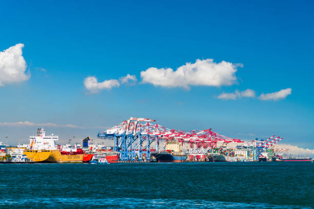 nahaufnahme containerkrane im hafen von kaohsiung - 16025 stock-fotos und bilder