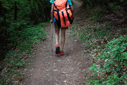 Child boy with tourist backpack walking lonely along path through forest woodland. Little adventurer explorer risk of go astray forest. School camp, family outing, hiking, eco travel. Back view