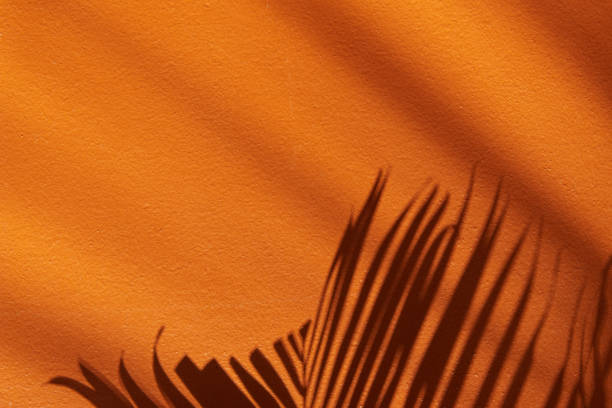 istock Tropical shadow on the orange wall. Minimal summer travel background 1325939923