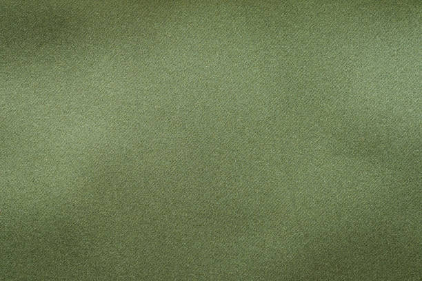 istock Green fabric texture background close up 1325941758