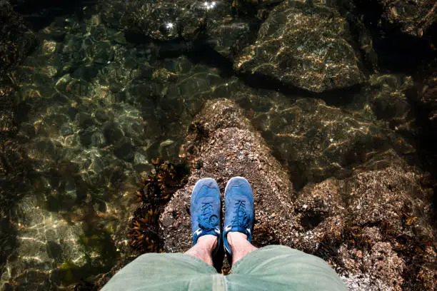 A personal perspective of someone looking down at a Puget Sound tidal pool on the San Juan Islands, barnacle covered rocks and sea life visible.