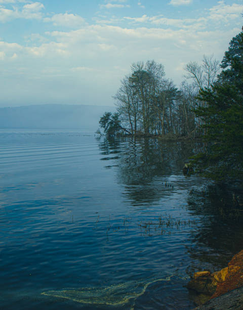Beautiful view of sunset on the forest lake.