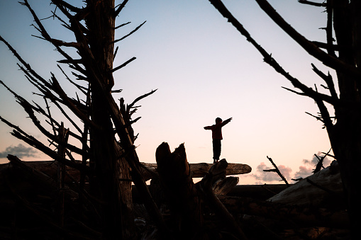 Beautiful textures and beach views of the Pacific Ocean from Washington States Olympic Peninsula.  A boy watches the waves at sunset from atop a large pile of driftwood.