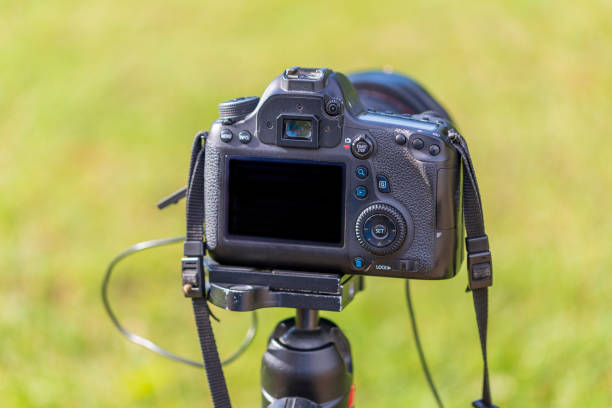 istock Rear view of a digital camera. The display and rear controls are visible. The camera is mounted on a tripod. The background is green 1325944674