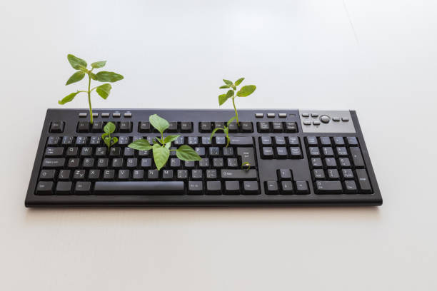 istock Black computer keyboard after lockdown. Green plants grow from the keyboard. PC keyboard on a white background 1325944973