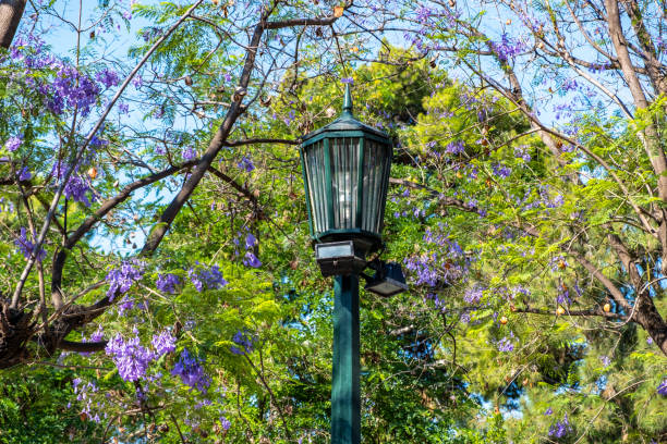 Rustic hanging flower basket and street lamp seen amongst the streets of Saint-Emilion at dusk, France