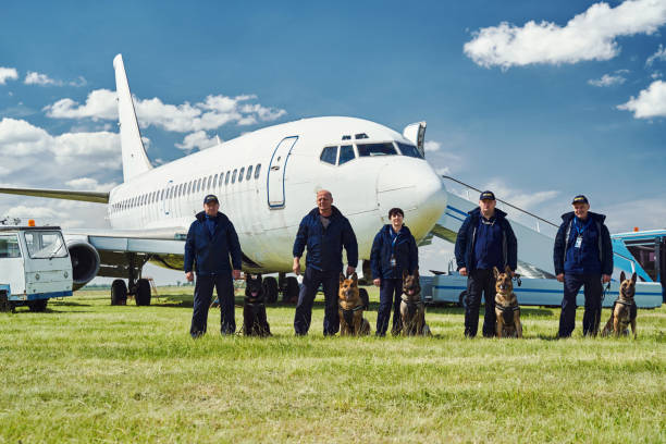 istock Security officers with dogs standing at airfield 1325948671