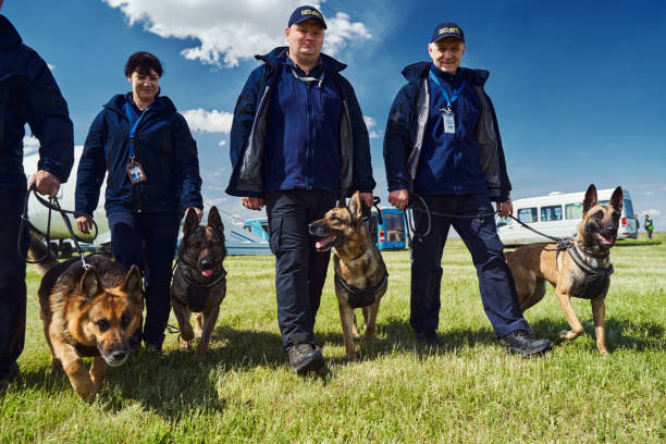 istock Cheerful security officers with detection dogs walking down airfield 1325948693