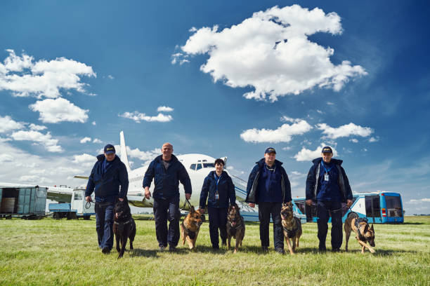 Security officers with detection dogs walking down airfield