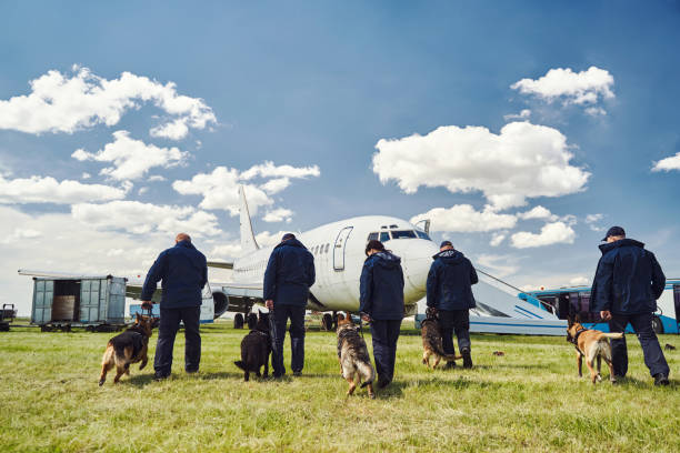 istock Security officers with detection dogs checking territory of airfield 1325948705