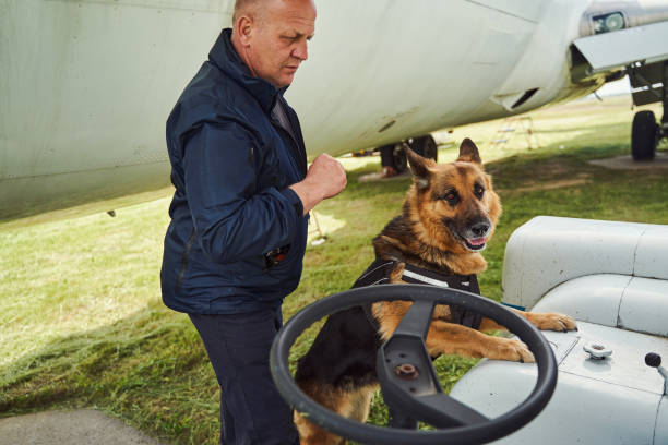 istock German Shepherd dog on duty with security officer at aerodrome 1325948717