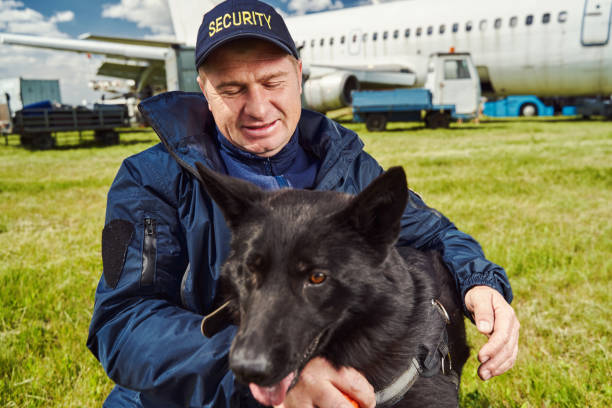 istock Detection dog on duty with security officer at airfield 1325948730