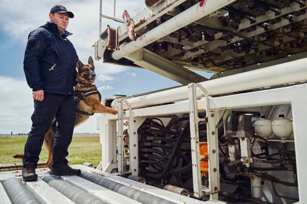 istock Security officer and detection dog inspecting territory of aerodrome 1325948743
