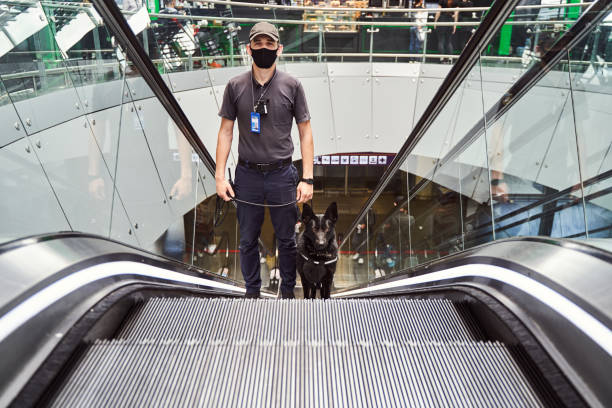 istock Security worker with police dog using escalator at airport 1325948776