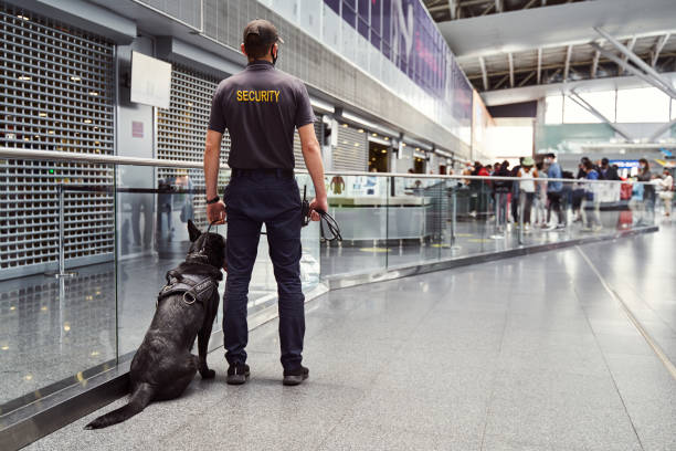 istock Security worker with detection dog patrolling airport terminal 1325948786