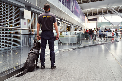 Back view of male security officer with police dog standing in airport terminal