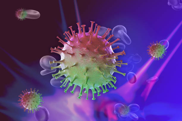 istock Coronaviruses 3d illustrate ontain a positive-sense, single-stranded RNA genome. Illustate infected inside cell human 1325949653