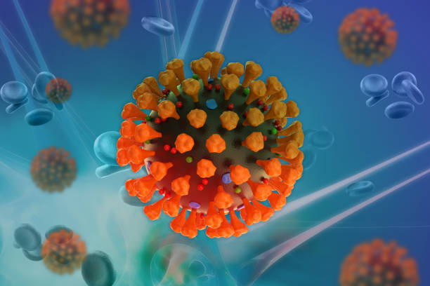 istock Coronaviruses 3d illustrate ontain a positive-sense, single-stranded RNA genome. Illustate infected inside cell human 1325949661