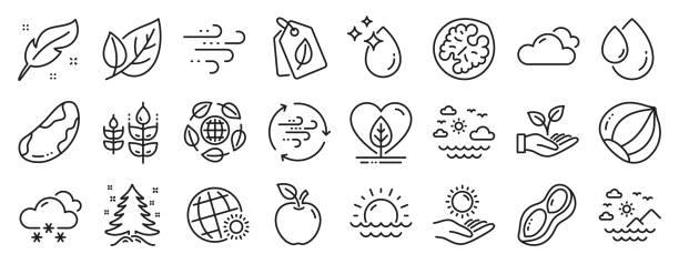 Set of Nature icons, such as Water drop, Christmas tree, Snow weather. Vector Set of Nature icons, such as Water drop, Christmas tree, Snow weather icons. Brazil nut, World weather, Bio tags signs. Eco organic, Gluten free, Peanut. Travel sea, Leaf, Oil drop. Sunset. Vector air quality stock illustrations