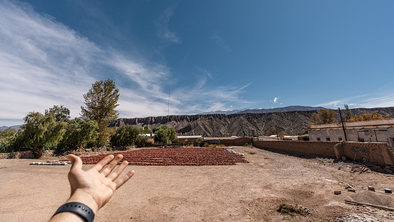 Hispanic man's hand with clock showing Argentine landscape