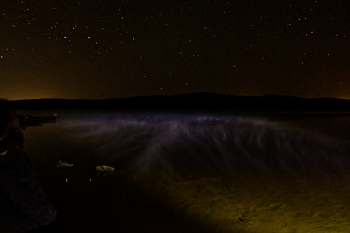 Fog over the lake on a starry night with a clear sky