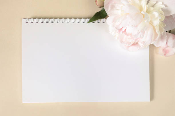 istock Large beige-pink peony flower and notebook on light paper background. Image for design of greeting cards on theme of wedding, Mother's Day, birthday and other greetings. 1325960263