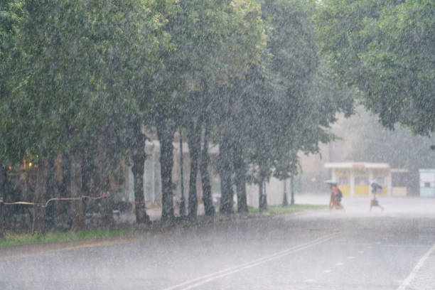 istock Moscow public park in the storm 1325960363