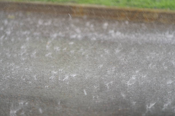 istock Storm in the city 1325960365